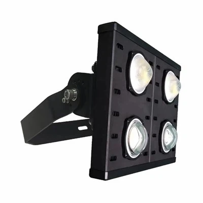 IP66 LED prožektorių lemputė